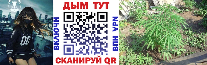 Все наркотики Отрадная Alpha PVP АМФЕТАМИН Каннабис Гашиш