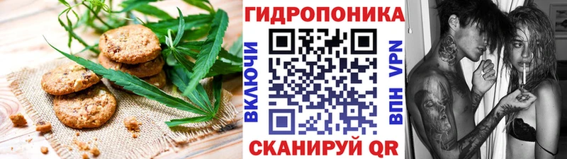 закладка  Отрадная  Canna-Cookies конопля 