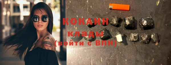 прущие грибы Арсеньев