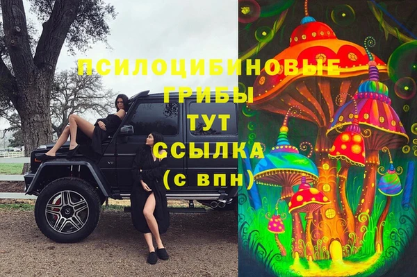 прущие грибы Арсеньев