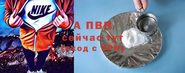 прущие грибы Арсеньев