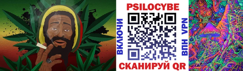 Галлюциногенные грибы Cubensis  ОМГ ОМГ онион  Отрадная 